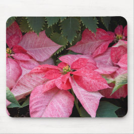 Mooie kerstfoto van Poinsettia Muismat