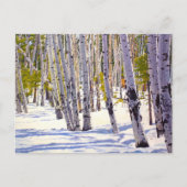 Mooie kerstKaart in Sneeuwgebergte Briefkaart (Voorkant)