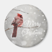 Mooie kerstkaart kardinaal