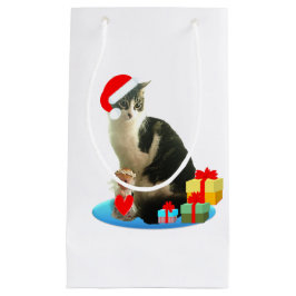 Mooie Kerstkat met tabby vacht Klein Cadeauzakje