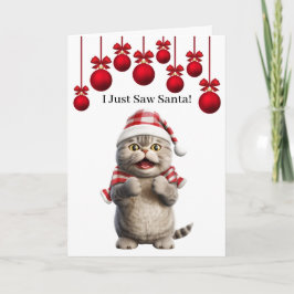 Mooie Kerstman Kat Wenskaart Kaart