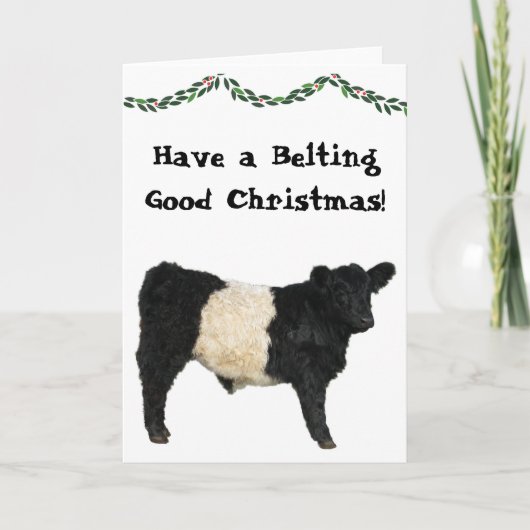 Mooie Kerstriem Belted Galloway Beltie Koe Kaart (Voorkant)