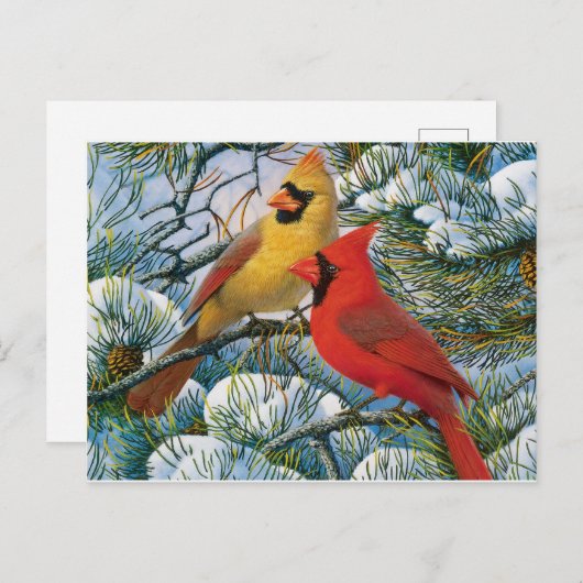 Mooie kerstrode kardinalen en sneeuw briefkaart (Voorkant / Achterkant)