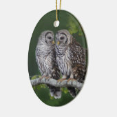 Mooie kerstversiering met Barred Owl voor de geboo Keramisch Ornament (Links)