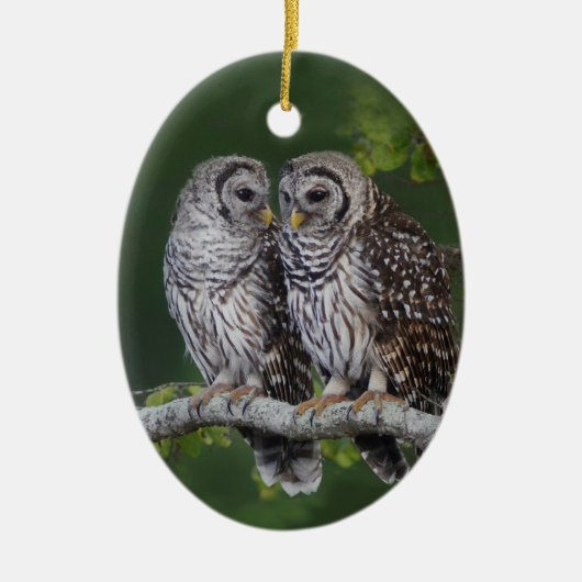Mooie kerstversiering met Barred Owl voor de geboo Keramisch Ornament (Voorkant)