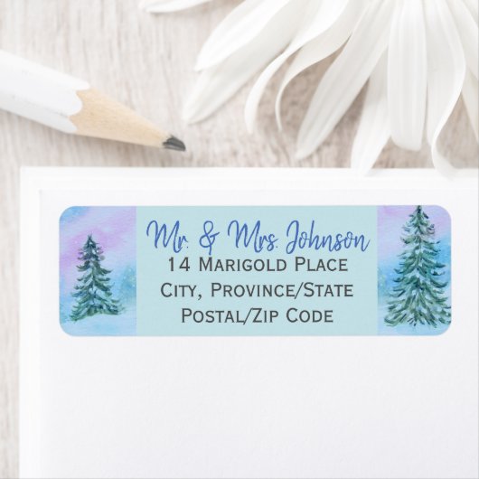 Mooie kerstwinteretiketten etiket (Insitu)