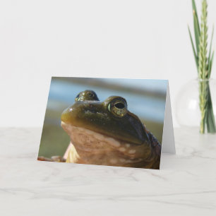 Mooie kikker kaart