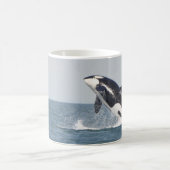 Mooie Killer Whale Koffiemok (Center)