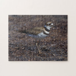 Mooie Killhert in het strand Legpuzzel