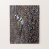 Mooie Killhert in het strand Legpuzzel (Verticaal)