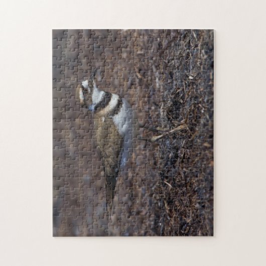 Mooie Killhert in het strand Legpuzzel (Verticaal)