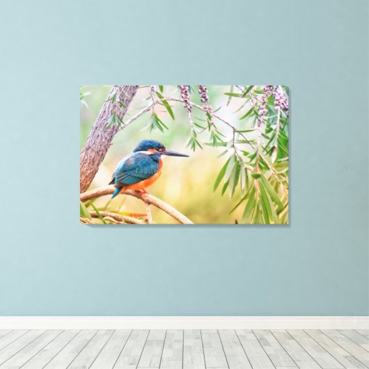 Mooie Kingfisher Bird op een boomarm Canvas Afdruk (Insitu (Houten vloer))