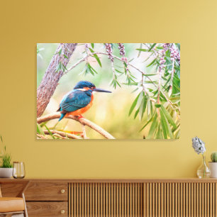 Mooie Kingfisher Bird op een boomarm Canvas Afdruk