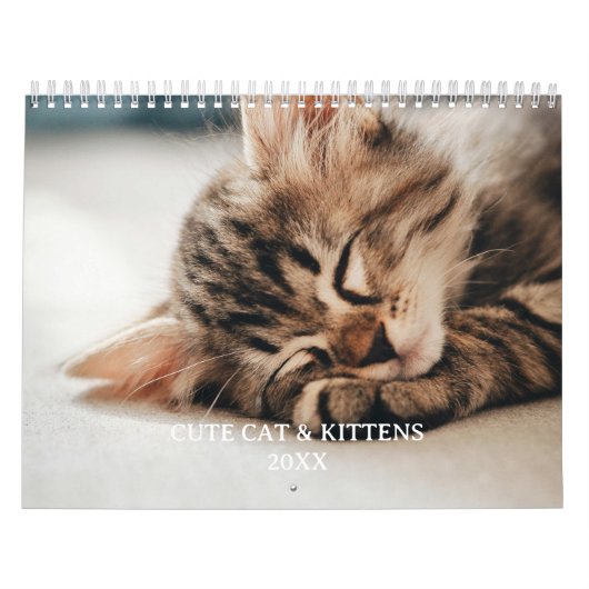 Mooie Kitten En Kat Huisdier Foto Kalender (Hoes)