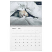 Mooie Kitten En Kat Huisdier Foto Kalender (Jan 2027)