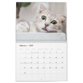 Mooie Kitten En Kat Huisdier Foto Kalender (Feb 2027)