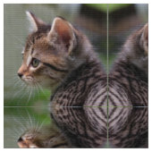 Mooie kitten gespiegeld polyester poplin stof (Close Up)