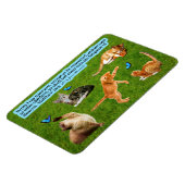 Mooie Kitten Schrift Magneet Mattheüs 18:3 (Linkerzijde)