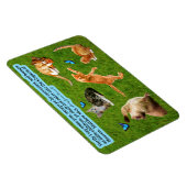 Mooie Kitten Schrift Magneet Mattheüs 18:3 (Rechterzijde)