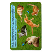 Mooie Kitten Schrift Magneet Mattheüs 18:3 (Verticaal)