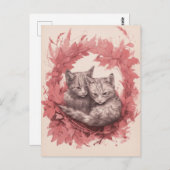 Mooie kittens briefkaart (Voorkant / Achterkant)