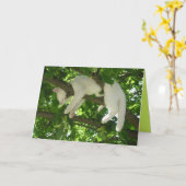 Mooie Kitty Kat Mooie Aanpasbare Kaart (Gele Bloem)