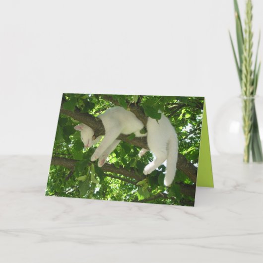Mooie Kitty Kat Mooie Aanpasbare Kaart (Voorkant)