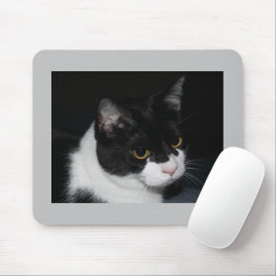 Mooie Kitty Muismat