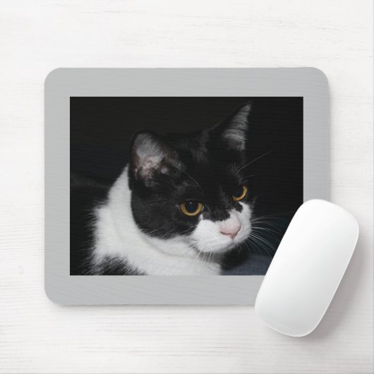 Mooie Kitty Muismat (Met muis)