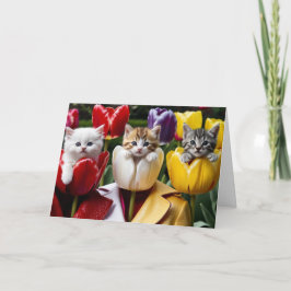 Mooie Kitty Tulpen Wenskaart Kaart