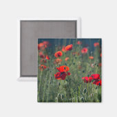Mooie klaprozen in wilde weide foto magneet (Voorkant / Achterkant)