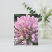 Mooie klaverbloem briefkaart (Staand voorkant)