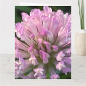 Mooie klaverbloem kaart (Achterkant)
