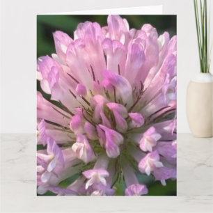 Mooie klaverbloem kaart