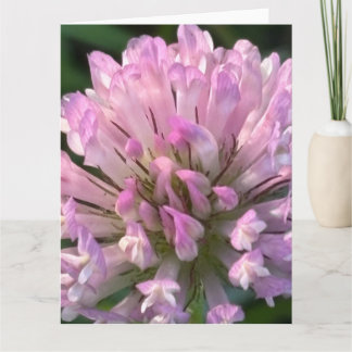 Mooie klaverbloem kaart