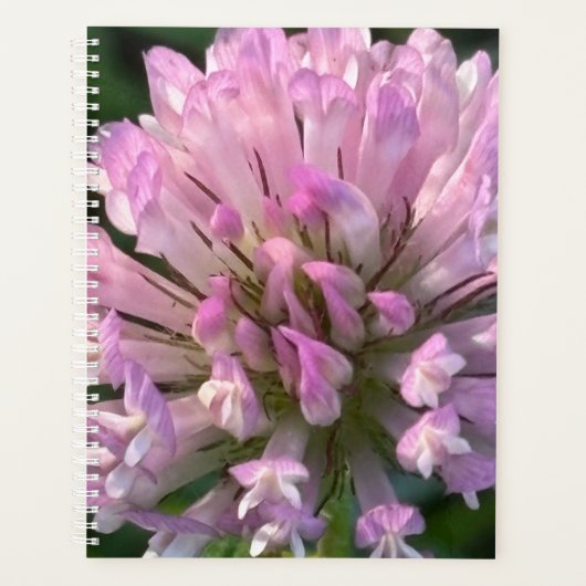 Mooie klaverbloem planner (Voorkant)