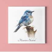 Mooie Kleine Berg Blauwe Spreeuw Waterverf, op maa Canvas Afdruk