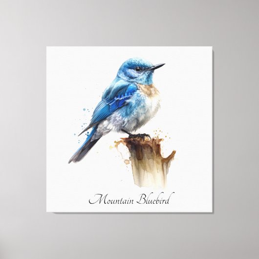 Mooie Kleine Berg Blauwe Spreeuw Waterverfschilder Canvas Afdruk (Voorkant)