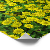 Mooie Kleine Gele Bloemen Poster (Hoek)
