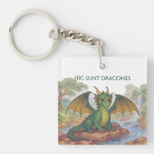 Mooie kleine groene draak sleutelhanger