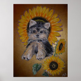 Mooie kleine hond en zonnebloemen poster