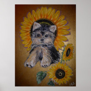 Mooie kleine hond en zonnebloemen poster