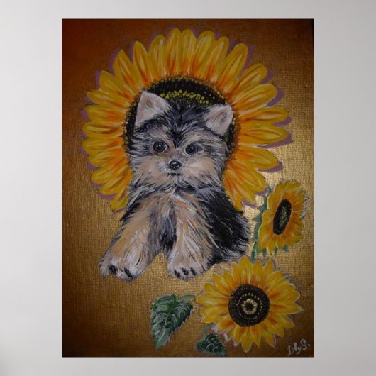 Mooie kleine hond en zonnebloemen poster (Voorkant)