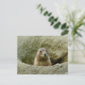 Mooie kleine Marmot Briefkaart (Staand voorkant)