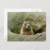 Mooie kleine Marmot Briefkaart (Voorkant / Achterkant)
