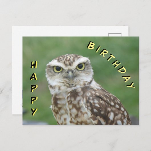 Mooie kleine uil gefeliciteerd ansichtkaart briefkaart (Voorkant / Achterkant)