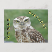 Mooie kleine uil Happy Birthday kaart (Voorkant)