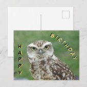 Mooie kleine uil Verjaardagskaart Briefkaart (Voorkant / Achterkant)