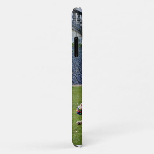 Mooie kleine walky honden Case-Mate iPhone case (Achterkant/rechts)