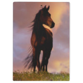 Mooie klembord voor paarden (Achterkant)